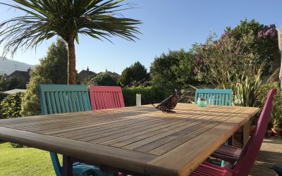 Garden furniture refurb