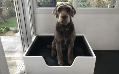 Quick dog bed
