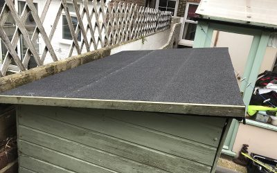 New shed roof