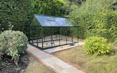 Greenhouse, path and paving